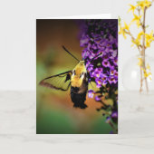 Hummingbird Moth, kaart (Gele Bloem)
