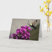 Hummingbird Moth, kaart (Gele Bloem)