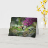 Hummingbird Moth, kaart (Gele Bloem)