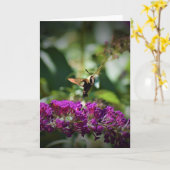 Hummingbird Moth, kaart (Gele Bloem)