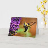 Hummingbird Moth, kaart (Gele Bloem)