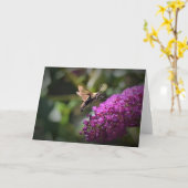Hummingbird Moth, kaart (Gele Bloem)