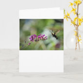 Hummingbird Moth, kaart (Gele Bloem)