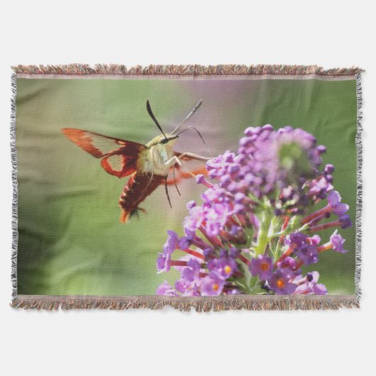 Hummingbird Moth on a Butterfly Struik Deken (Voorkant)