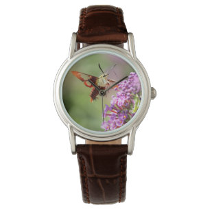 Hummingbird Moth on a Butterfly Struik Horloge