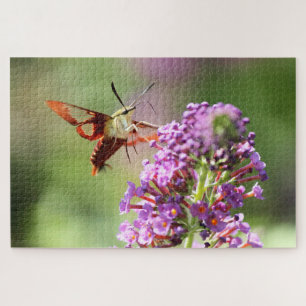 Hummingbird Moth on a Butterfly Struik Legpuzzel