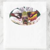 Hummingbird Moth Ovale Sticker (Tas)