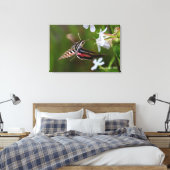 Hummingbird Moth Premium Wrapped Canvas Afdruk (Insitu (Slaapkamer))