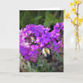 Hummingbird Moth & Verbena, carte (Fleur jaune)