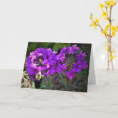 Hummingbird Moth & Verbena, carte (Fleur jaune)