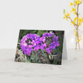 Hummingbird Moth & Verbena, carte (Fleur jaune)