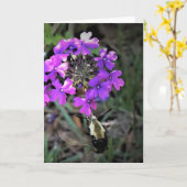 Hummingbird Moth & Verbena, carte (Fleur jaune)