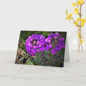 Hummingbird Moth & Verbena, carte (Fleur jaune)