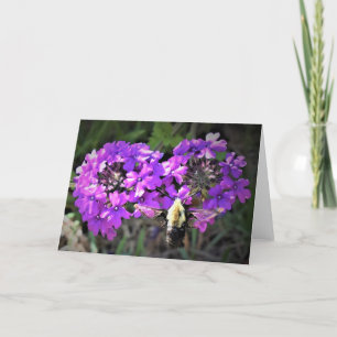 Hummingbird Moth & Verbena, carte
