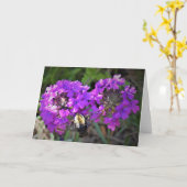Hummingbird Moth & Verbena, carte (Fleur jaune)