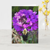 Hummingbird Moth & Verbena, kaart (Gele Bloem)