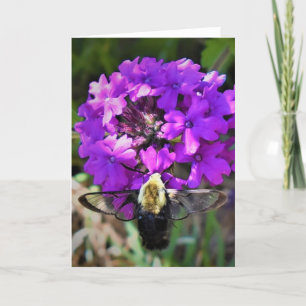 Hummingbird Moth & Verbena, kaart