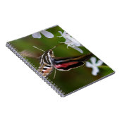 Hummingbird Moth Wire Journal Notitieboek (Rechterzijde)