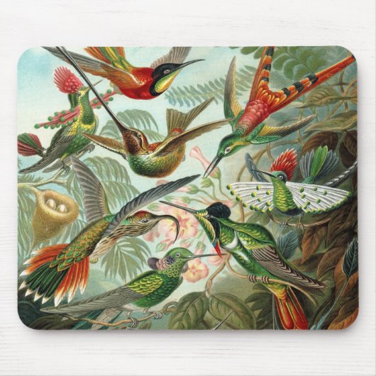 Hummingbird Mousepad Muismat (Voorkant)