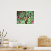Hummingbird Nectar Poster (Cuisine)