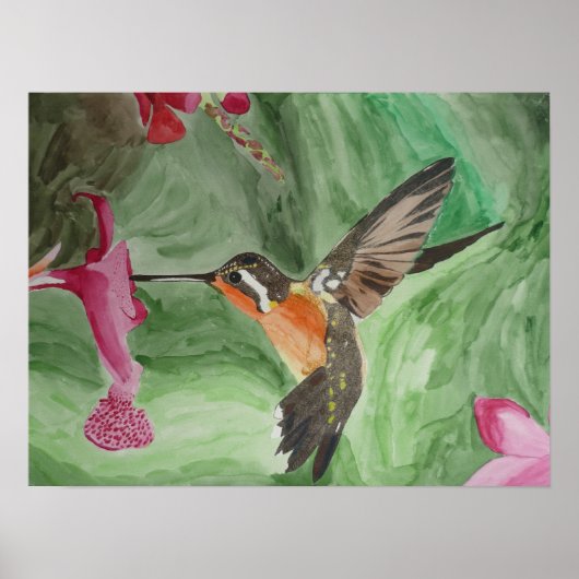 Hummingbird Nectar Poster (Devant)