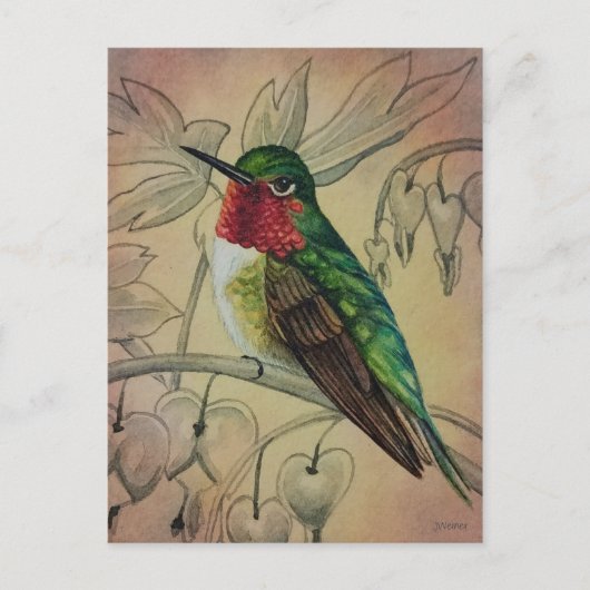 Hummingbird No. 4 Waterverf Art. Briefkaart (Voorkant)