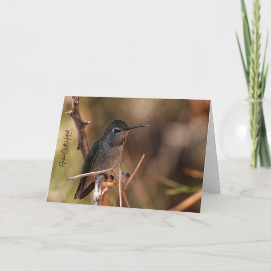 Hummingbird Note Card Kaart (Voorkant)