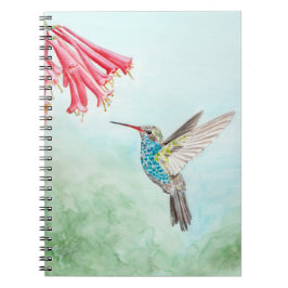 Hummingbird notebook notitieboek