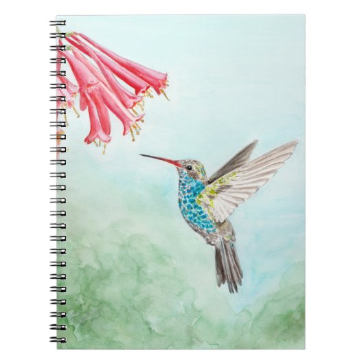 Hummingbird notebook notitieboek (Voorkant)