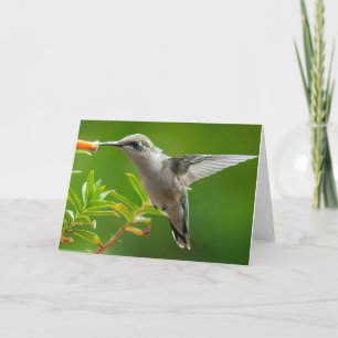 Hummingbird Notecard Bedankkaart