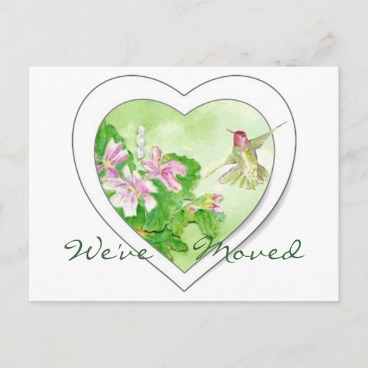 Hummingbird Nouvelle adresse, Nouvelle carte posta (Devant)