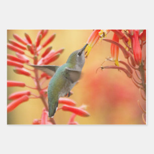 Hummingbird omringd door rode yucca inpakpapier vel