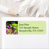 Hummingbird on Hummingbird Mint Etiket (Insitu)