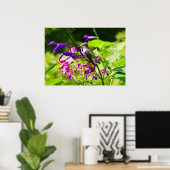 Hummingbird on Hummingbird Mint Poster (Thuiskantoor)