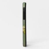 Hummingbird on pine Case-Mate iPhone case (Achterkant/links)
