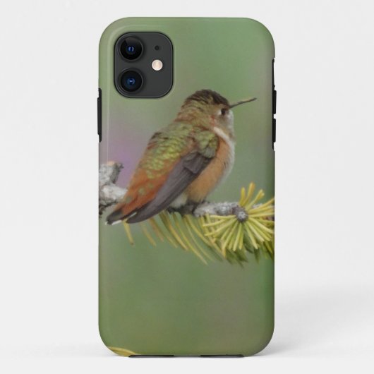 Hummingbird on pine Case-Mate iPhone case (Achterkant)