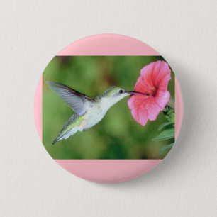 Hummingbird op een ronde Button
