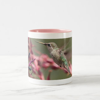 Hummingbird op Huntington Library Tweekleurige Koffiemok