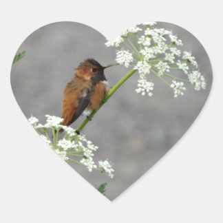 Hummingbird op koninginnenbloem hart sticker