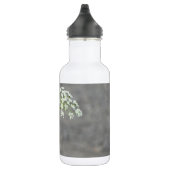 Hummingbird op koninginnenbloem waterfles (Rechts)