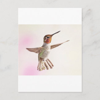 Hummingbird op roze briefkaart