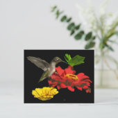 Hummingbird op Zinnias Briefkaart (Staand voorkant)