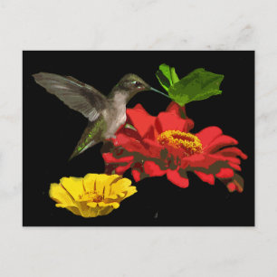 Hummingbird op Zinnias Briefkaart