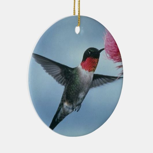 HUMMINGBIRD ORNAMENT (Rechts)