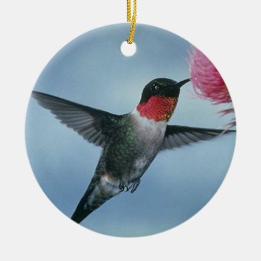 HUMMINGBIRD ORNAMENT (Voorkant)