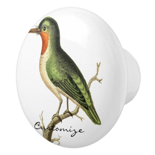 Hummingbird Perched Thunder_Cove Keramische Knop (Rechts)