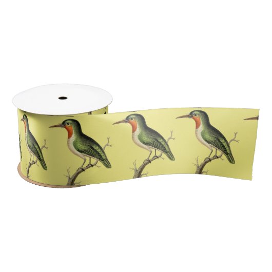 Hummingbird Perched Thunder_Cove Lint (Spoel)