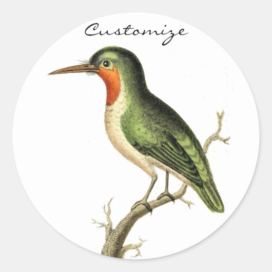 Hummingbird Perched Thunder_Cove Ronde Sticker (Voorkant)