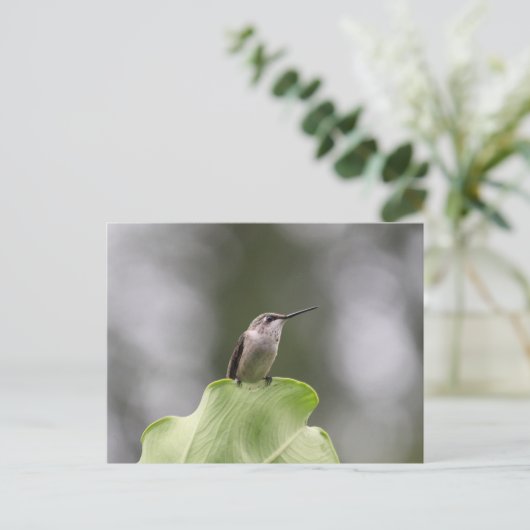 Hummingbird Perching Briefkaart (Staand voorkant)
