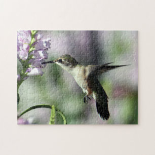 Hummingbird Pink Floral Wildlife Foto Legpuzzel